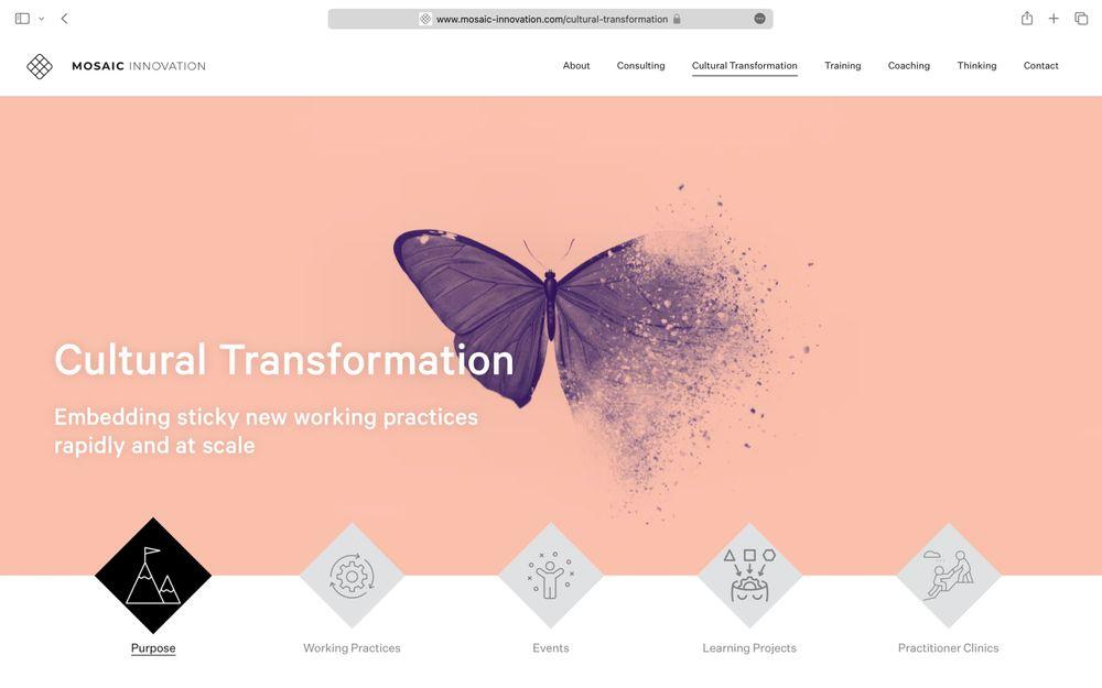 Transformation service page.